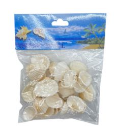 24 Bulk Sea Shell 100 Gram
