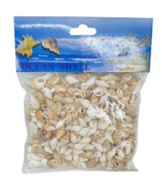 24 Bulk Sea Shell 100 Gram