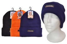 12 Bulk Insulated Winter Hat