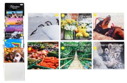 60 Bulk Wall Calendar In Floor Display (16 Month, 2024)
