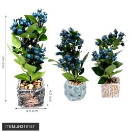 12 Bulk Pot Flower - 14" Blueberries