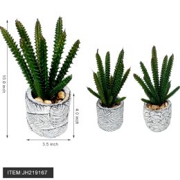 12 Bulk Pot Flower 10" Cactus