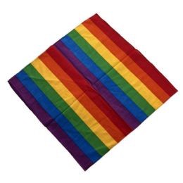 24 Bulk Bandana - Wide Rainbow Stripes