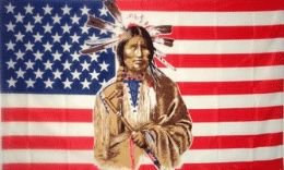 24 Bulk 3 X 5 Polyester Flag, Us Flag Native American With Grommets