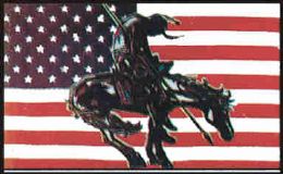 24 Bulk 3 X 5 Polyester Flag, Us Flag Native American With Grommets