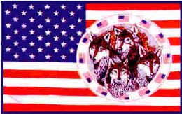 24 Bulk 3 X 5 Polyester Flag, Us Flag Four Wolves With Grommets