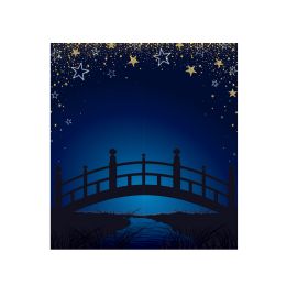 Bulk Starry Night Bridge Photo Prop