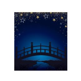 Bulk Starry Night Bridge Photo Prop