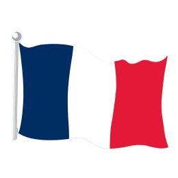 24 Bulk French Flag Cutout