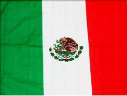 24 Bulk Mexico Flag Bandana