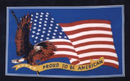 24 Bulk Wholesale 3'x5' Proud To Be American Flying Eagle Flag