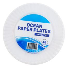 25 Bulk Paper Plates 40ct 9inch White Uncoated