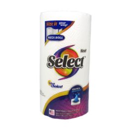 24 Bulk 100ct 2ply Select Paper Towel