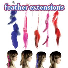 144 Bulk Component Of Feather Hair Locks 30 Styles