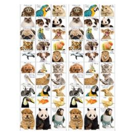 720 Bulk Animal Cards - 30 Styles, 2 Dz Each
