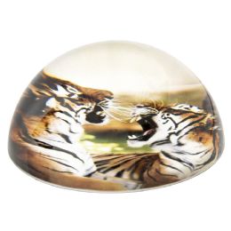 36 Bulk 80 Mm Dome Paperweight Tiger