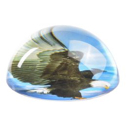 36 Bulk 80 Mm Dome Paperweight Eagle