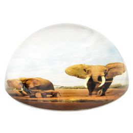 36 Bulk 80 Mm Dome Paperweight Elephant Family