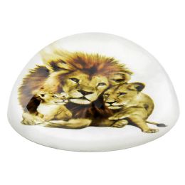 36 Bulk 80 Mm Dome Paperweight Lion Lioness Cub
