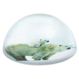 36 Bulk 80 Mm Dome Paperweight Polar Bear