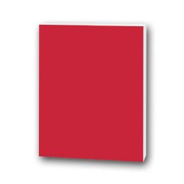 25 Bulk 20" X 30" Foam Boards, Red