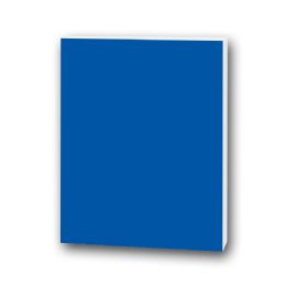 25 Bulk 20" X 30" Foam Boards, Blue