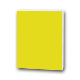 25 Bulk 20" X 30" Foam Boards, Yellow