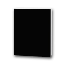 25 Bulk 20" X 30" Foam Boards, Black