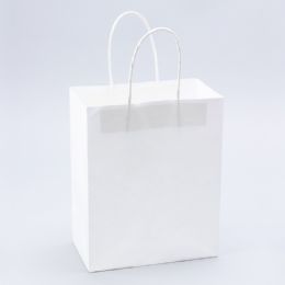 12 Bulk Paper Bags With Handles For Favors & Gifts 10 inch - White 12pc 