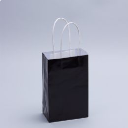 12 Bulk Paper Bags With Handles For Favors & Gifts 8 inches - Black 12pc