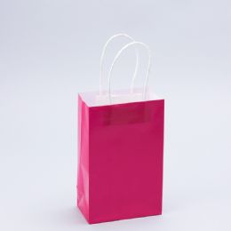 12 Bulk Paper Bags With Handles For Favors & Gifts 8 inches - Fuchsia 12pc