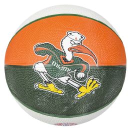 25 Bulk 9.5 inch Miami Reg. Basketball