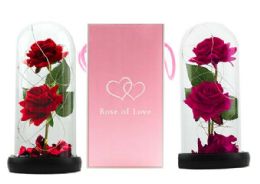 20 Bulk Valentines Led Rose 2 Heads In Glass Cover W/gift Box