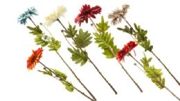 300 Bulk Af Autumm Chrysthemum Single Heads 20 Asst. Colors