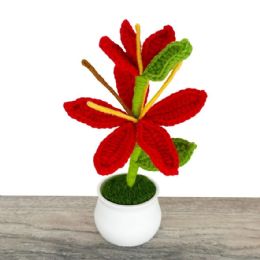 24 Bulk Red Long Head Crochet Lily of the Valley in Pot