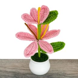 24 Bulk Pink Long Head Crochet Lily of the Valley in Pot