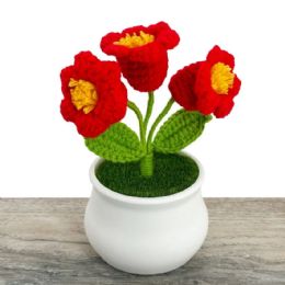 24 Bulk 3-Head Red Crochet Lily Flowers in Pot