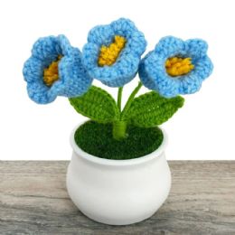 24 Bulk 3-Head Cool Blue Crochet Lily Flowers in Pot
