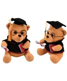 24 Bulk 9" Graduation Bear