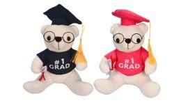 24 Bulk 9" Graduation Bear Pink and Blue