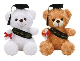 24 Bulk 10" Graduation Bear 2 Colors