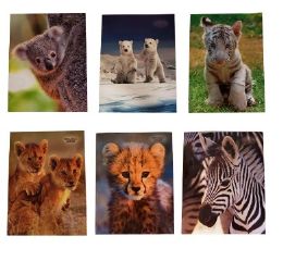 48 Bulk Wildly Cute Portfolios, 4 Assorted Designs,