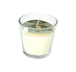 12 Bulk Blissful Scented Candle 3.5oz Pine
