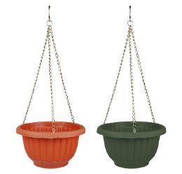 24 Bulk Bh Pp Hanging Pot W. Chain 2 Asst 7.5in