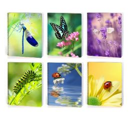 24 Bulk Bugs 70 Ct Wide Ruled Theme Books, 6 Assorted Designs,