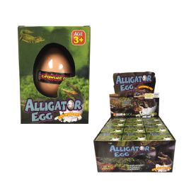 12 Bulk Grow Alligator Egg