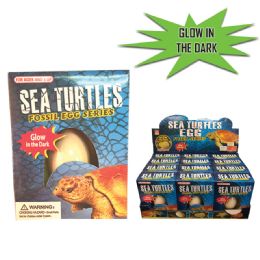 12 Bulk Glow In The Dark Sea Turtle Fossil Egg