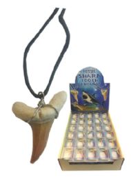90 Bulk Fossil Shark Tooth Necklace