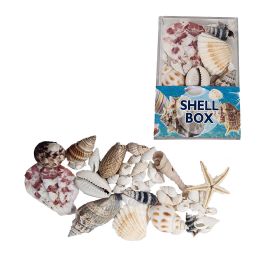 18 Bulk Shells In A Box