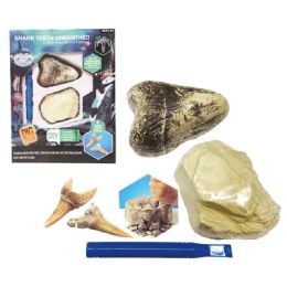 12 Bulk Dig It Out Fossil Shark Teeth